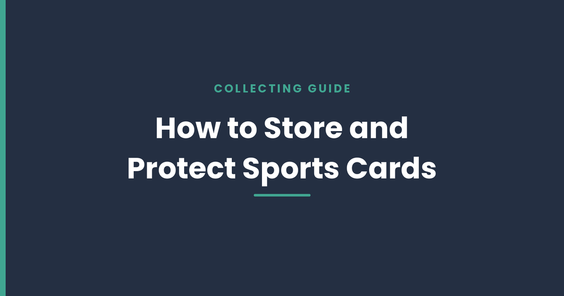 How Do I Store and Protect My Sports Cards?